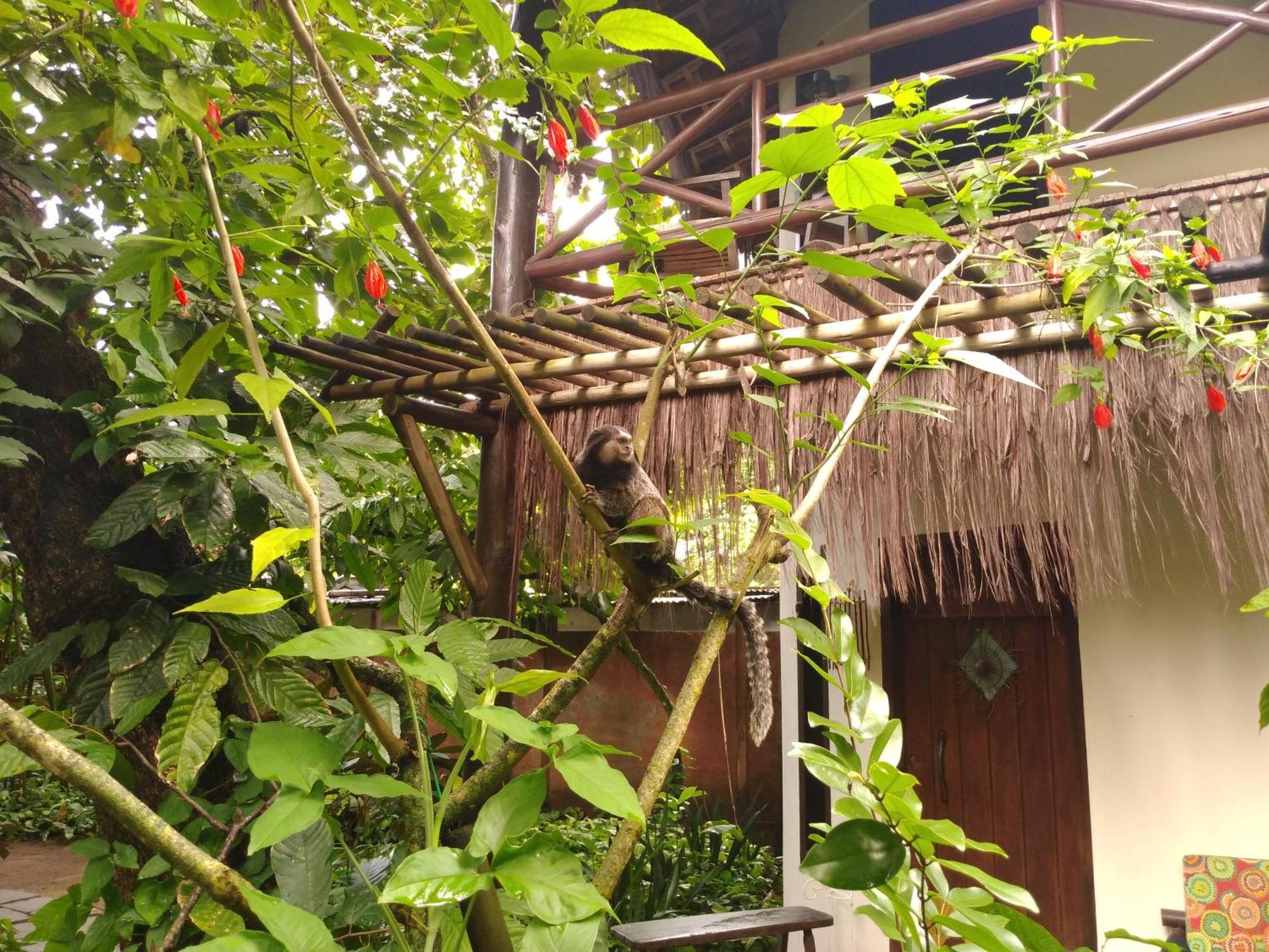 Hotel Pousada Fruta Pao Barra Grande  Zewnętrze zdjęcie